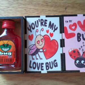 LOVE BUG BOX